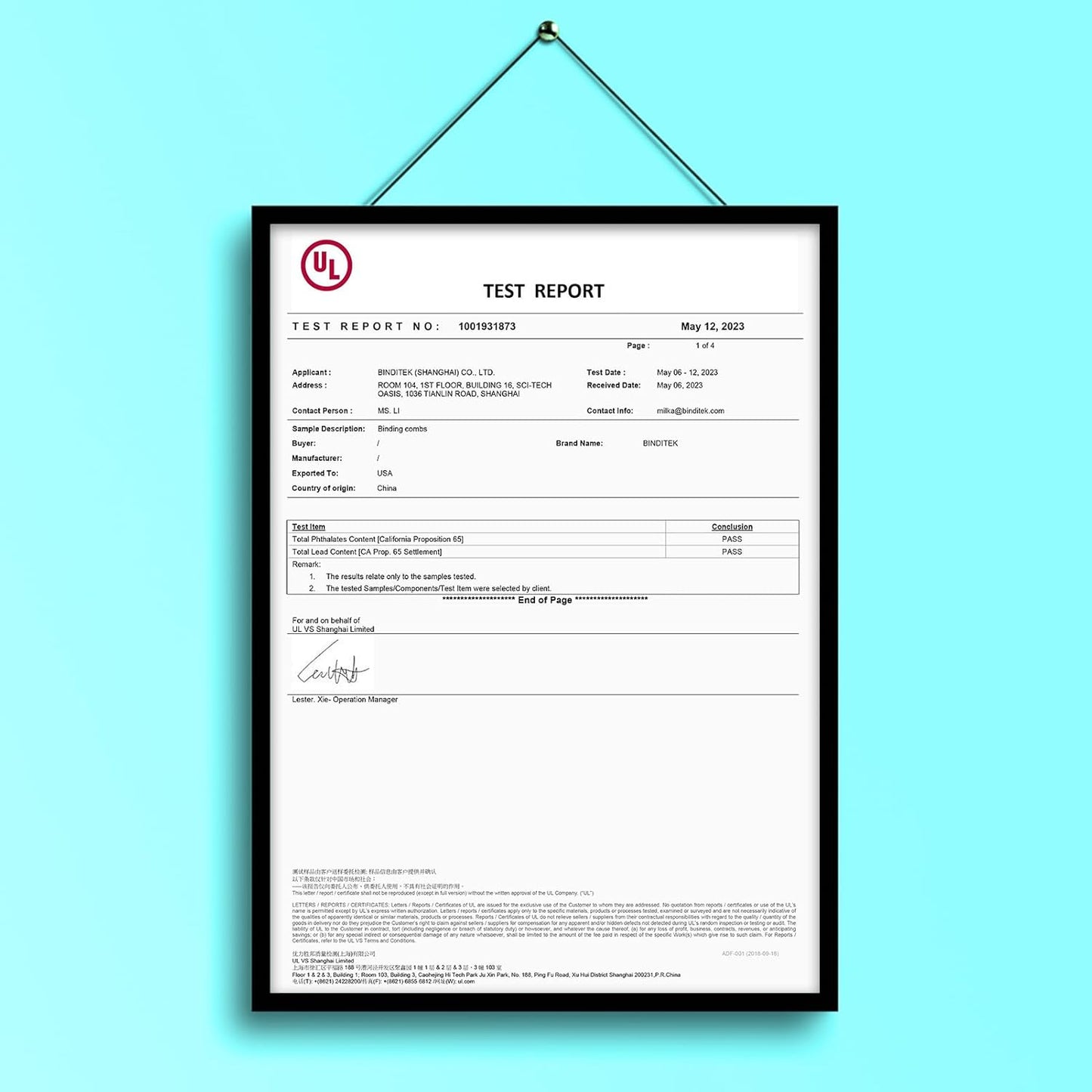 Binditek 50 Pack Plastic Binding Comb Spines, 1 Inch Diameter, 225 Sheet Capacity, 19 Ring, for Letter Size, Black, for Students and Coworkers