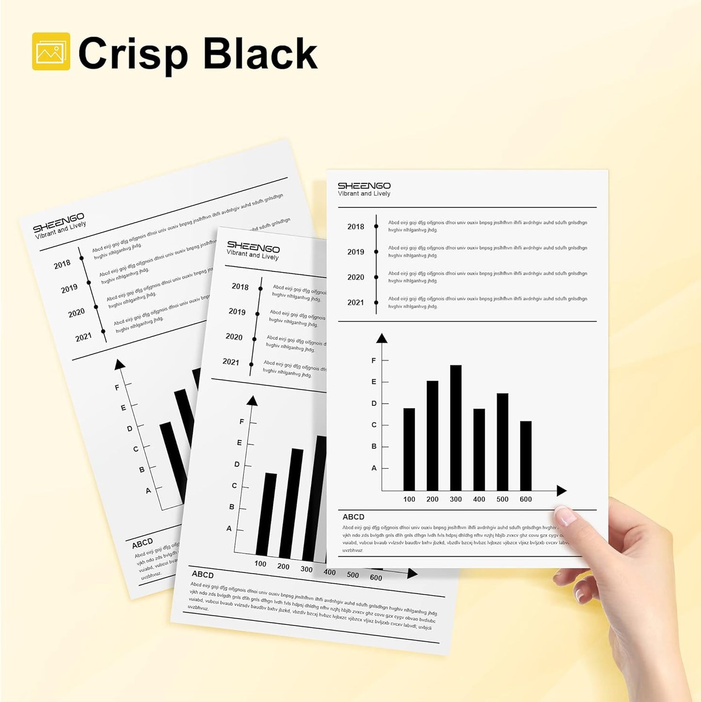 245XL Ink Cartridge Replacement for Canon 245XL Black Ink PG-245XL 245 XL PG-243 243XL for Pixma TR4520 TR4527 MX492 MX490 MG2522 MG2525 MG2920 TS202 TS302 TS3320 TS3322 MG2420 IP2820 (2 Black)