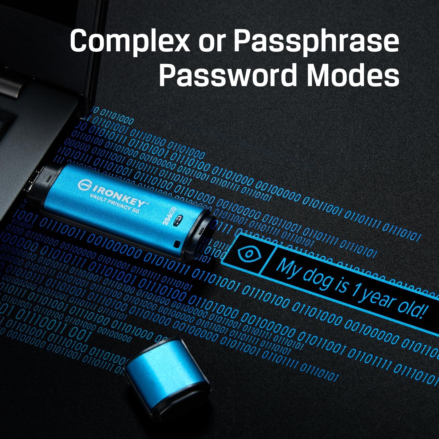 Kingston Ironkey Vault Privacy 50 USB-C 512GB Encrypted Flash Drive | FIPS 197 Certified | XTS-AES 256-bit | BadUSB and Brute Force Protection | Mult-Password Option | IKVP50C/512GB