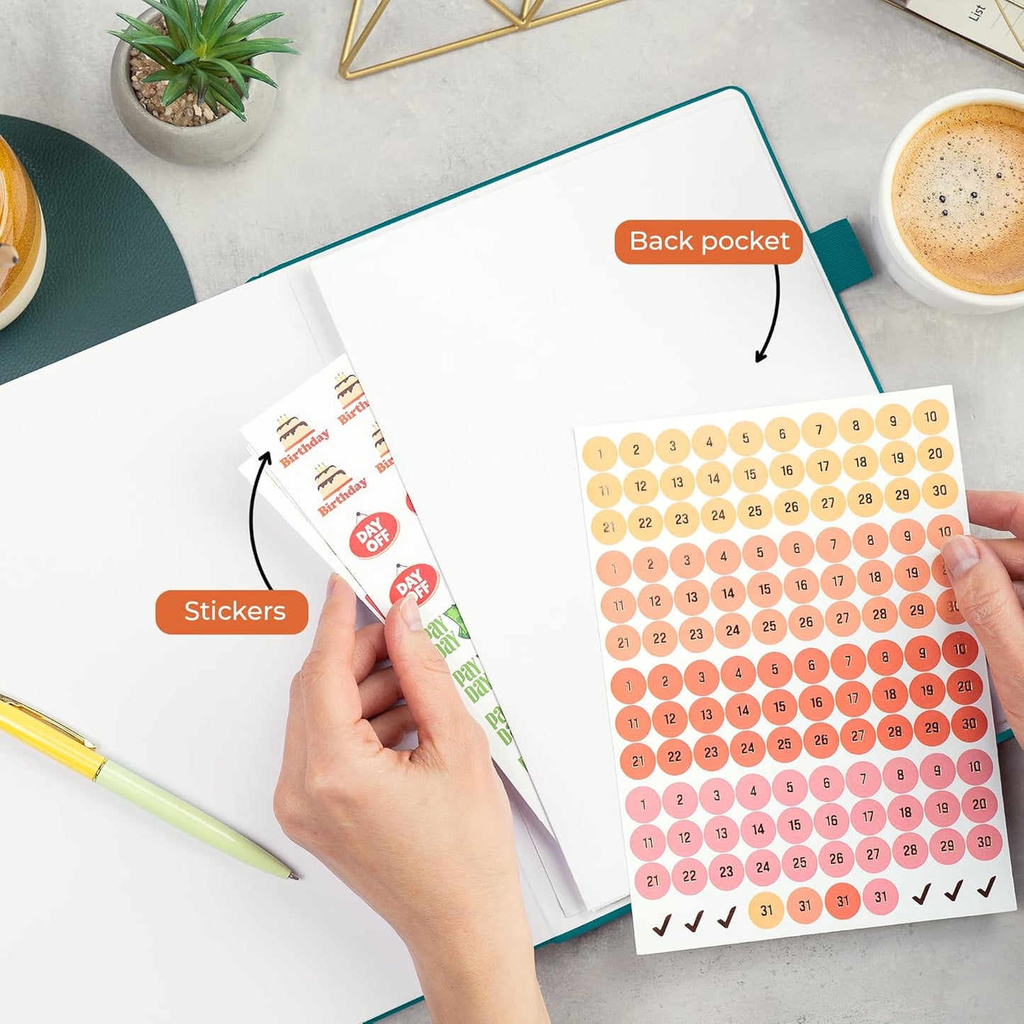 Clever Fox Appointment Book – Hourly Schedule Planner with 15-Minute Increments – Time Box Planner for Daily Work & To-Dos – Weekly & Monthly Spreads, Undated, Hardcover, 8.3x11″ (Dark Teal)