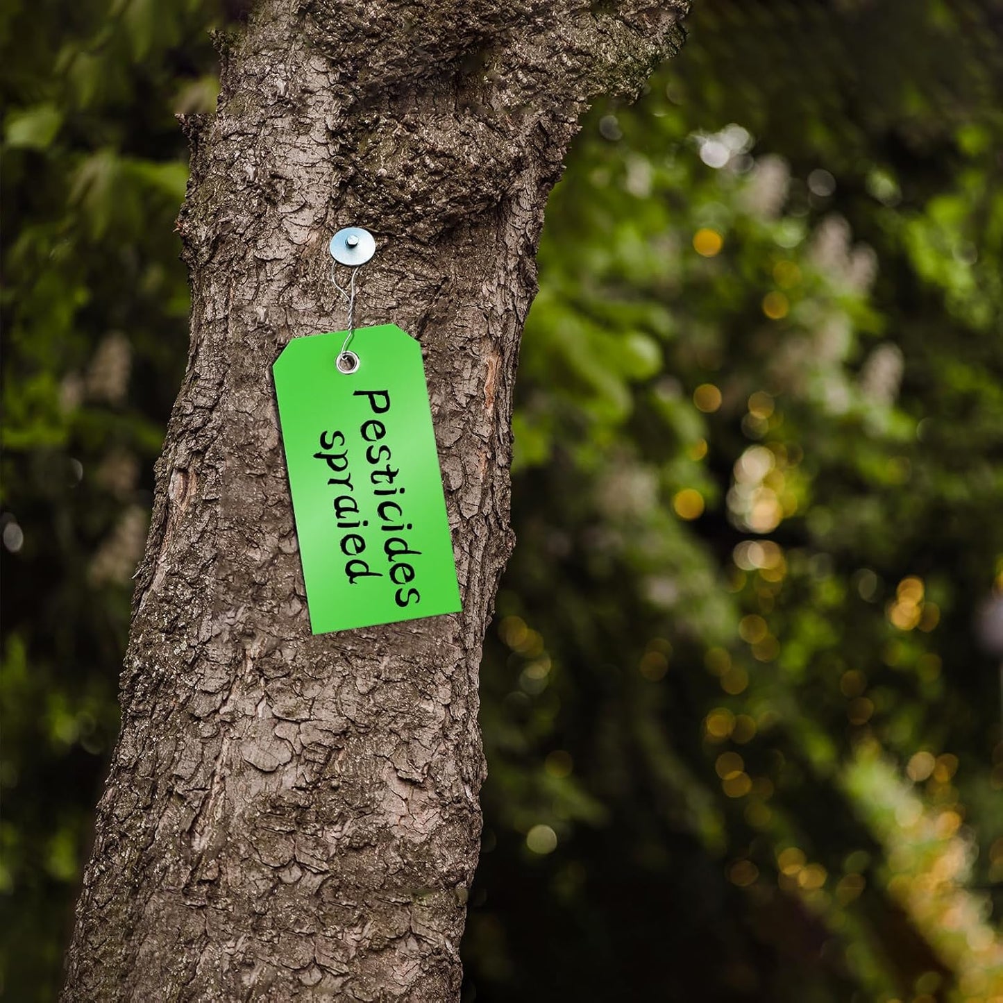 1000 Pieces Plastic Shipping Tags with Wire Labeling Tags Waterproof Hang Tags with Reinforcement Hole Writable Luggage tag Loops for Equipment Inventory Parts Garage (Green, 4 3/4" x 2 3/8")