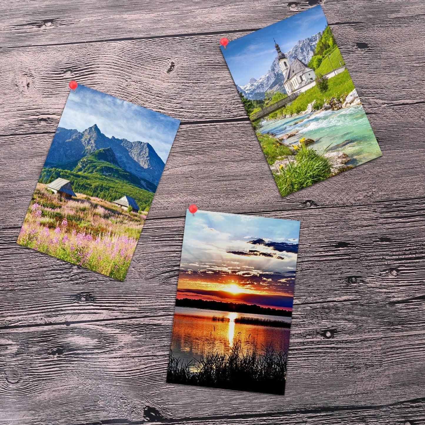 Outus 500 Pieces Map Push Pins Map Tacks Plastic Round Head Tacks with Steel Points (Multicolor, 1/8 Inch)