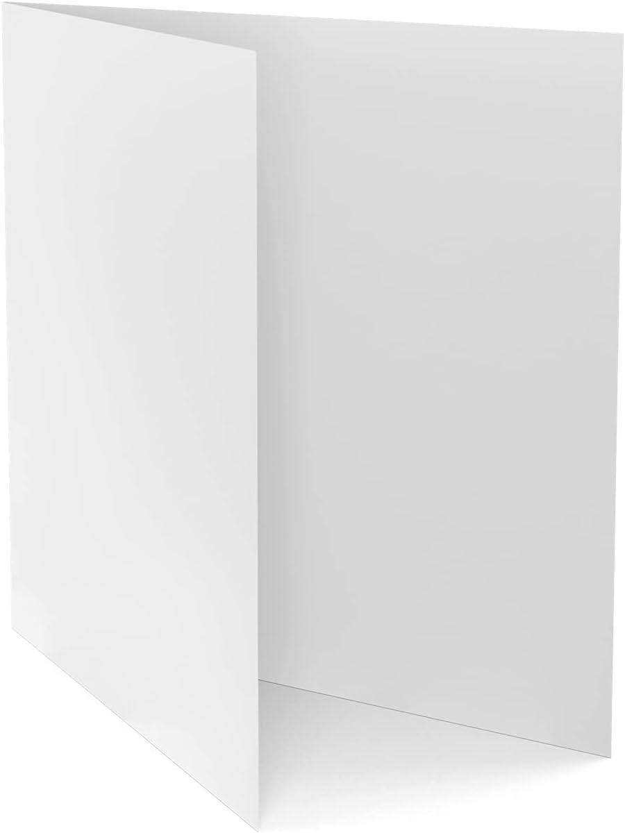 Brainstorm ID Letter Size Lamination Carriers - 5 Pack (Large)