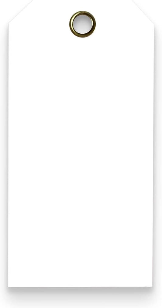 Tags 4 Less 15 Mil Waterproof Plastic Tags, Pack of 100 – 2” x 4” Heavy Duty Plastic Tags for Labeling, Outdoor Tagging, Equipment Labeling, Luggage, Valves & More (White)
