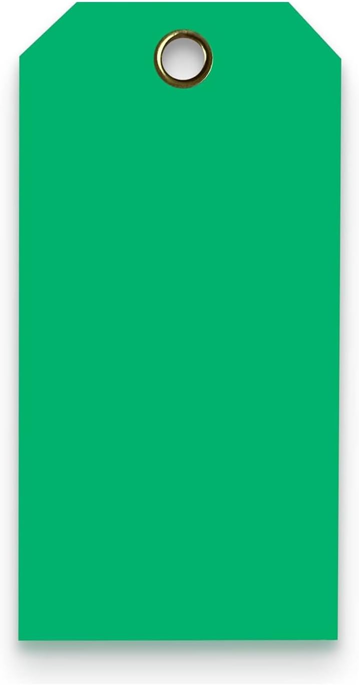 Tags 4 Less 15 Mil Waterproof Plastic Tags, Pack of 100 – 3” x 6” Heavy Duty Plastic Tags for Labeling, Outdoor Tagging, Equipment Labeling, Luggage, Valves & More (Dark Green)