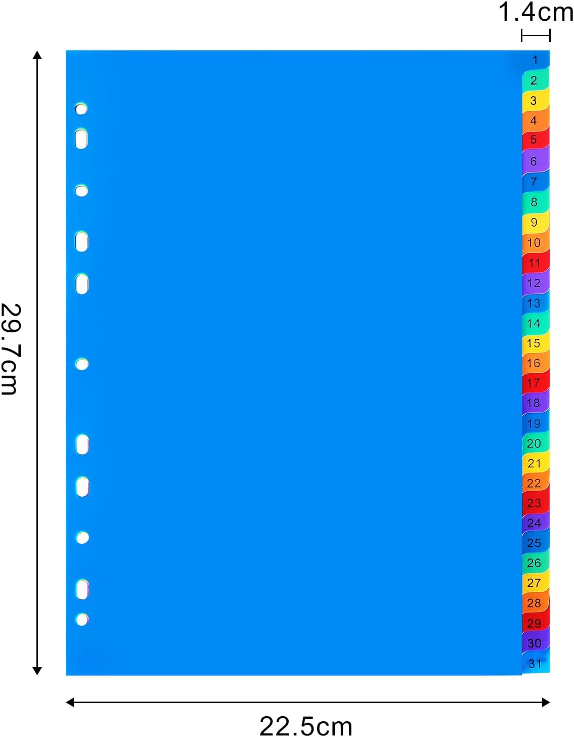 1-31 Tab Dividers, Plastic Binder Dividers for 2/3/4 Ring Binder, Customizable Table of Contents, Multicolor Number 1-31 Tabs, 5 Sets/ A4 Size