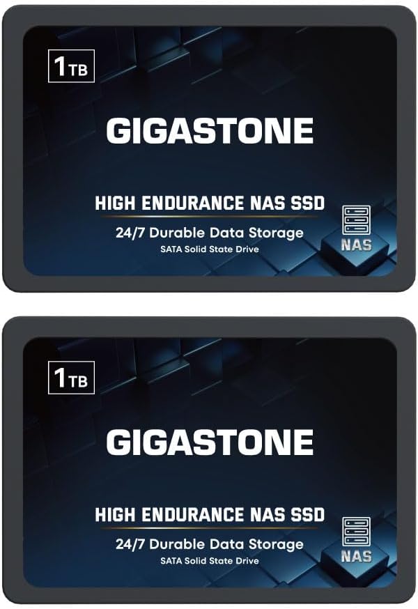 Gigastone 1TB NAS SSD Drive (2-Pack) 24/7 Durable TLC High Endurance RAID Data Storage Network Attached Storage 2.5" SATA Internal Solid State Hard Drives
