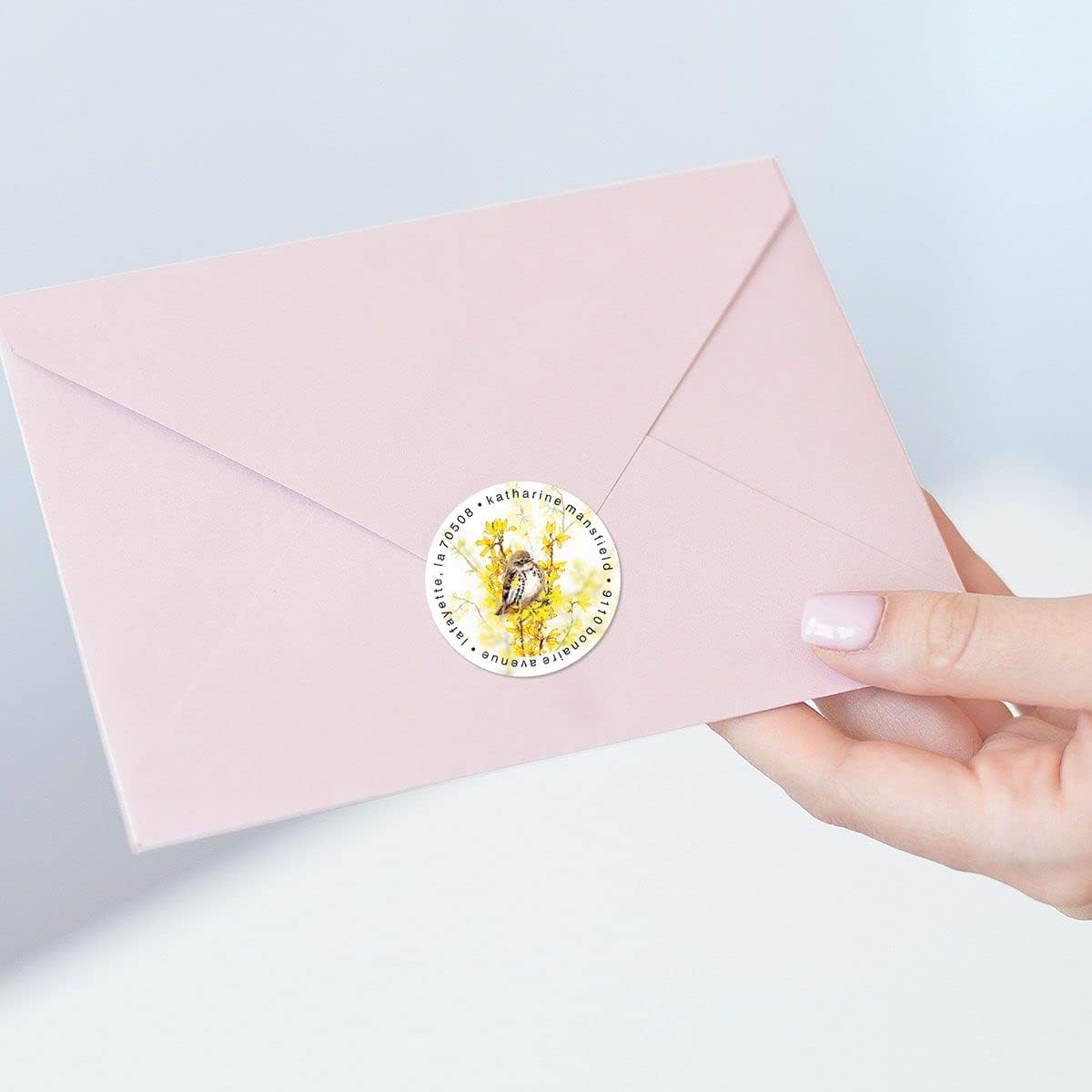 Colorful Images Spring Birds Return Address Mailing Labels, Personalize with Name & Addresses, Set of 144 Self Adhesive, Easy Peel Flat Label Sheets, 1-½" Across, 3 Designs