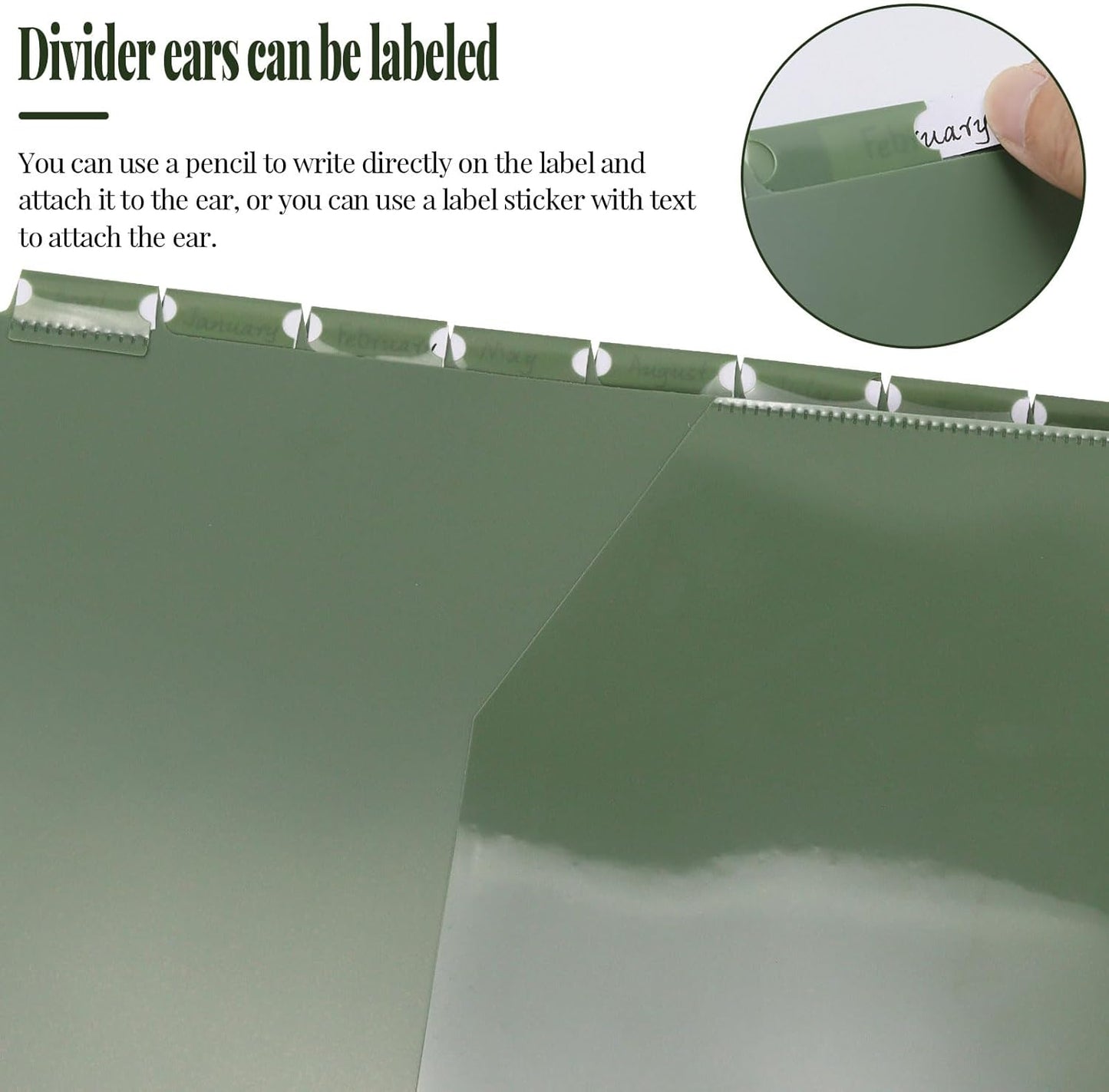 8 tab dividers for 3 Ring Binder with Pockets, Plastic Dividers with Front Pocket, 8-tab Index Dividers with 3 Holes Punched for School & Office Supplies (Green)