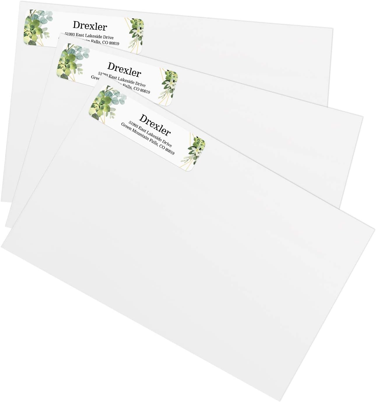 Greenery Frames Rolled Address Labels/Roll of 500 Personalized Address Labels/Designer Return Address Stickers in Elegant Plastic Dispenser