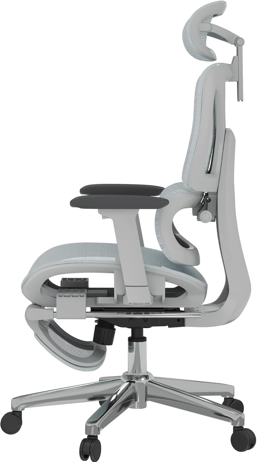 FLEXISPOT ErgoX Premium Ergonomic Office Chair with Footrest- Adjustable 3D Armrests, Dynamic Lumbar Support, Recline & Tilt Function, Mesh Seat, for Home & Office Use,Blue