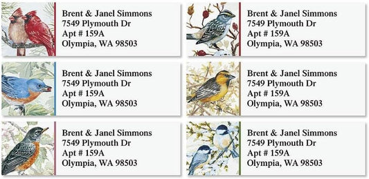 Colorful Images Garden Friends Birds Return Address Mailing Labels, Personalize with Name & Addresses, Set of 240 Self Adhesive, Easy Peel Flat Label Sheets, ⅝ x 2”, 6 Designs
