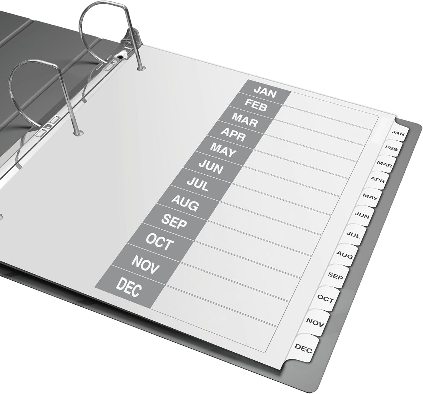 Davis Group Calendar Months January-December Index Tab Dividers for 3 Ring Binders, Customizable Table of Contents, 6 Sets