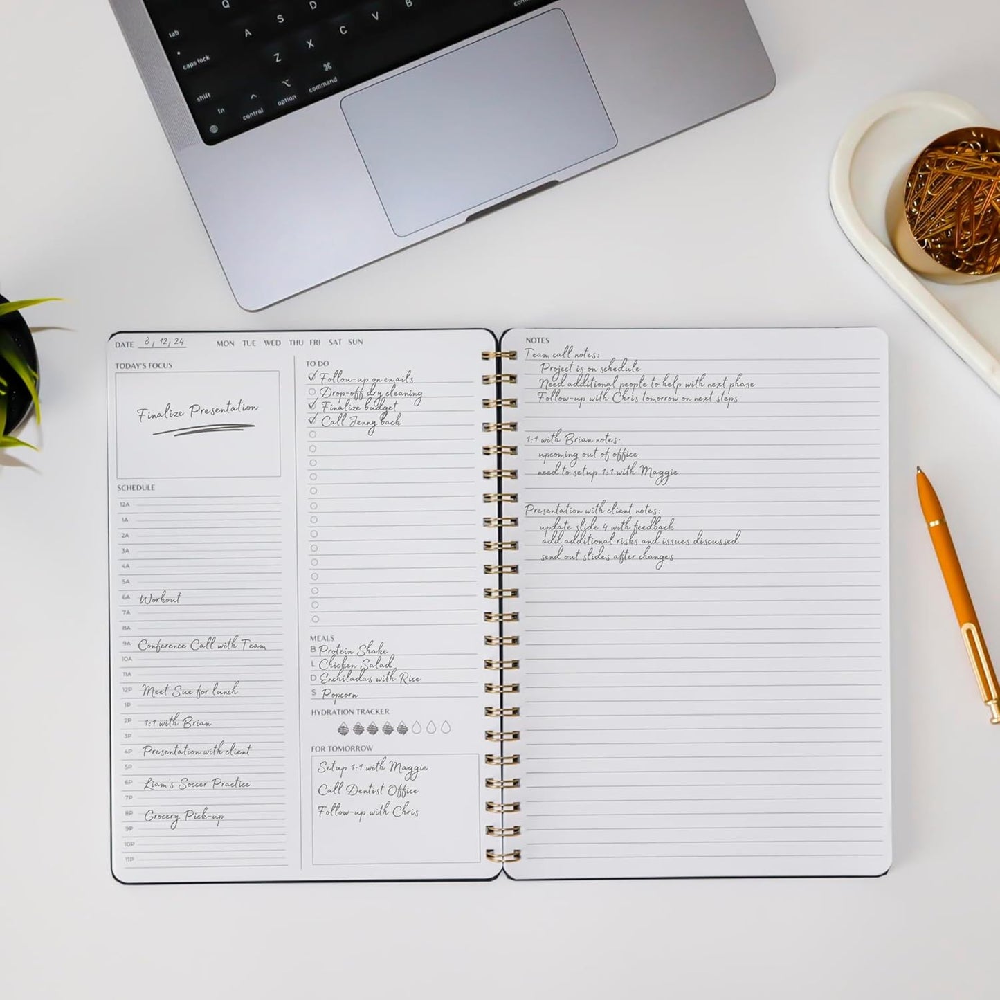 Undated Daily Planner | 8.25” x 11.75” To Do List Notebook | Work Productivity ADHD Organizer | Men and Women Planner | College Supplies | Evergreen | Portrait Layout