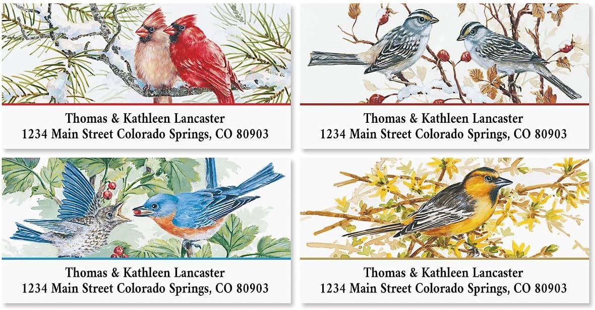Colorful Images Garden Friends Birds Return Address Mailing Labels, Personalize with Name & Addresses, Set of 144 Self Adhesive, Easy Peel Flat Label Sheets, 1 ⅛ x 2 ¼”, 6 Designs