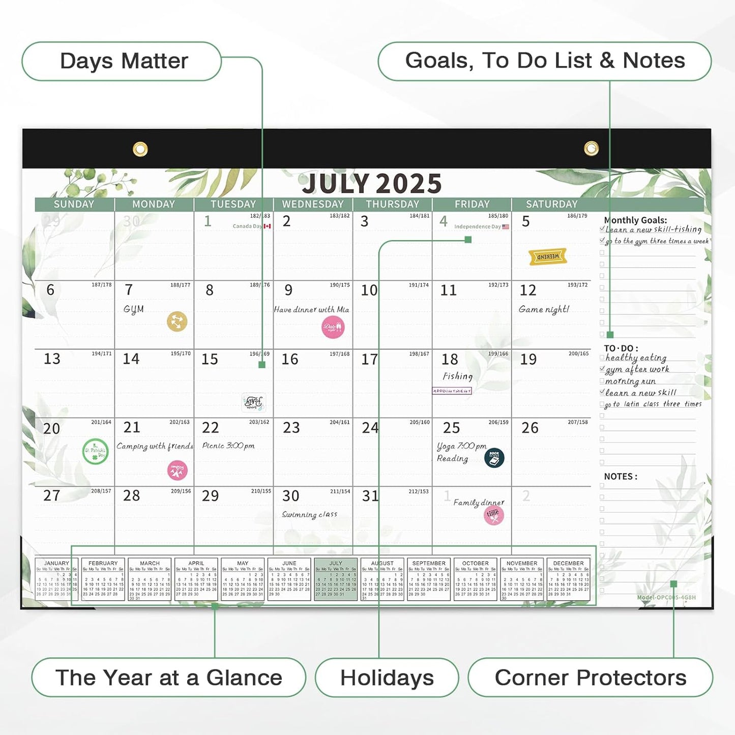 Ospelelf 2025-2026 Calendar Magnetic Desk Wall Desktop Monthly Planner from July 2025 to December 2026 Large To Do Pad with Plastic Cover for Office 17" X 12" Plant