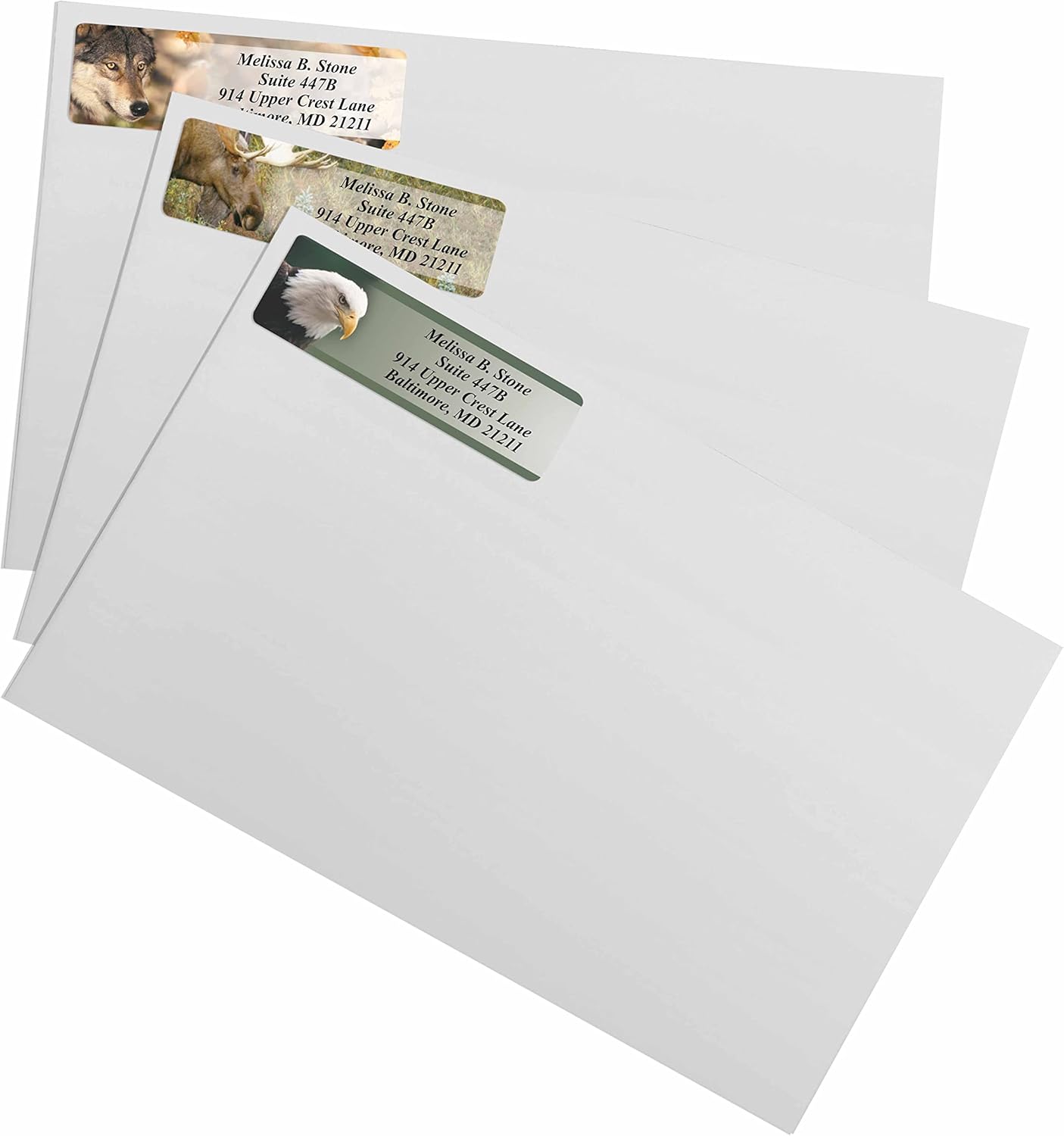 Nature's Wildlife Assorted Designer Rolled Address Labels with Elegant Plastic Dispenser