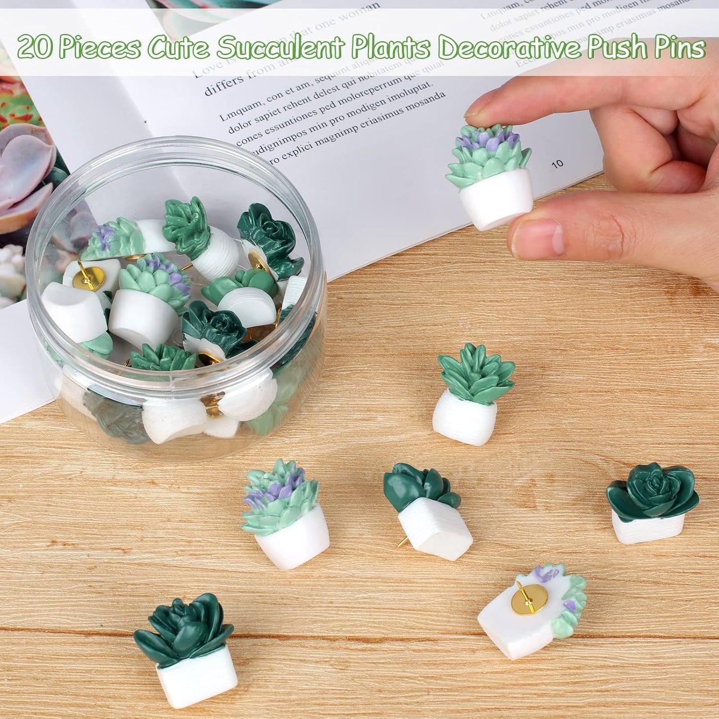 20 Pieces Cute Succulent Plants Decorative Push Pins Colorful Floret Thumbtacks for Photo Wall, Feature Wall, Whiteboard, Cork Board, Map, Bulletin Board, Office or Home (Three Assorted Styles)