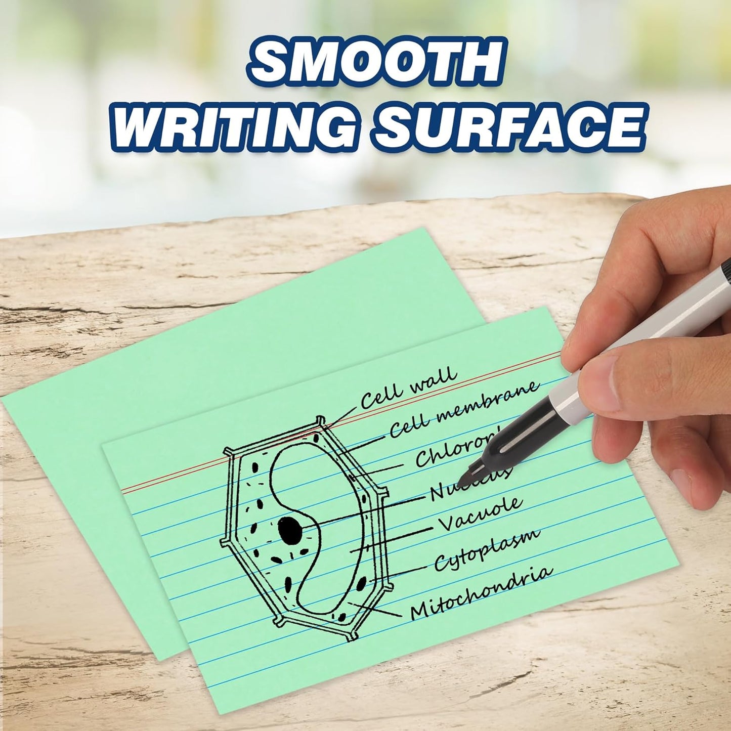 Chell Extra Heavyweight Index Cards 3x5 Inch, No Bleed-Through, 100 Count, Ruled Front and Blank Back, 80 lb. Cover Weight, Pastel Colors