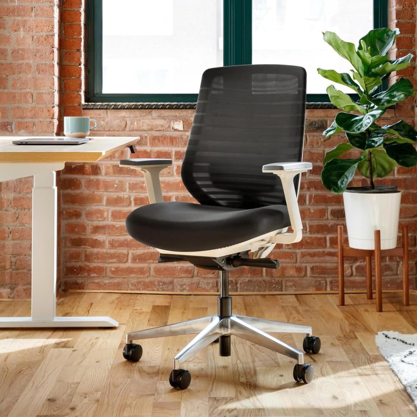 Branch Ergonomic Chair - A Versatile Desk Chair with Adjustable Lumbar Support, Breathable Mesh Backrest, and Smooth Wheels - Experience Optimal Comfort and Support - Black