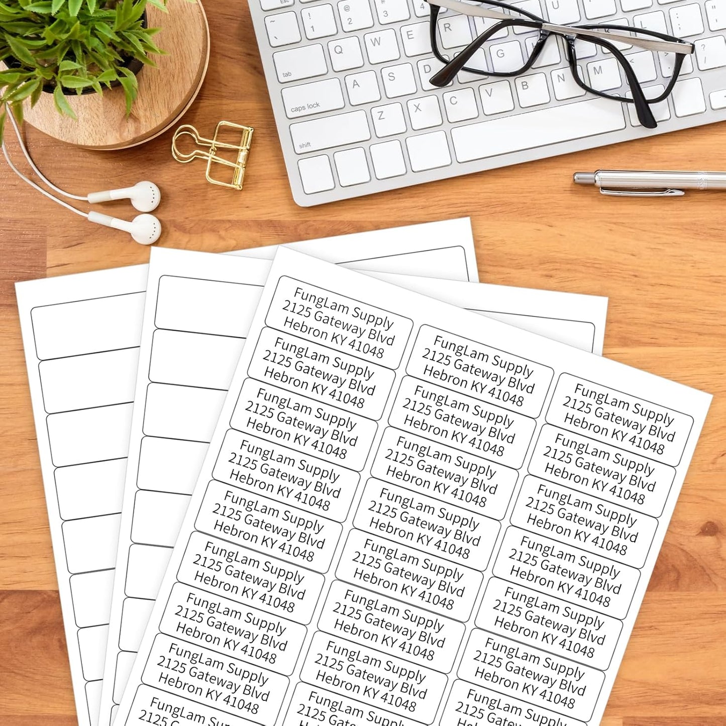 FungLam 1" x 2-5/8" Shipping Address Labels 900 Label Stickers Paper for Laser/Inkjet Printer 30 per Page Printable Mailing Labels (30 Sheets, 900 Labels)