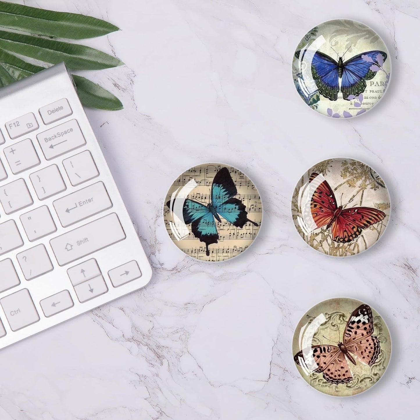 12Pcs Glass Refrigerator Magnet Fridge Sticker,Butterfly Fridge Magnets Decoration for Crafts,Strong Fridge Magnets for Kitchen, School,Office Whiteboard, Cabinet and Dishwasher