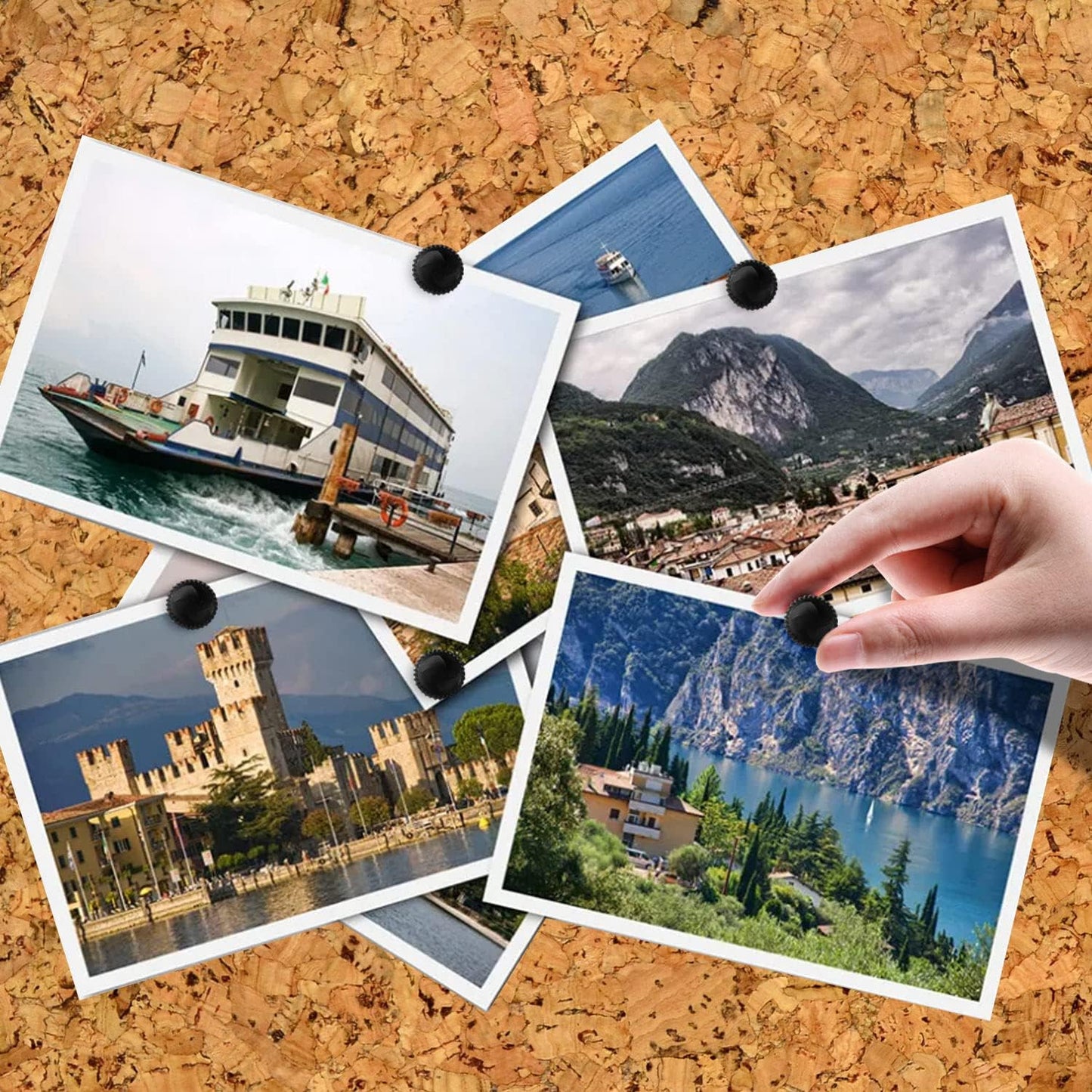 Lunies 200 Pcs Black Push Pins, Plastic Thumb Tacks for Wall, Wall Tacks for Hanging, Standard Plastic Head and Steel Point Push Pins for Cork Board