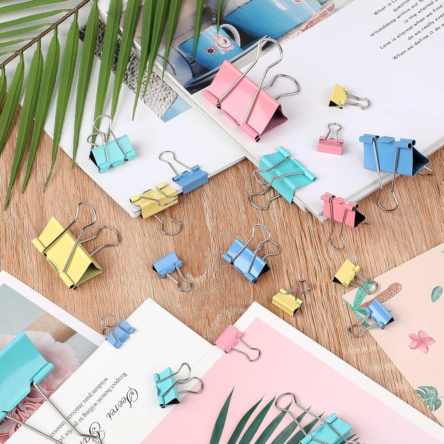 SANNIX 110 PCS Colored Binder Clips, X Large, Large, Medium, Small, Mini and Micro, Colorful Binder Clips Assorted Sizes Clips for Office Home School Supplies